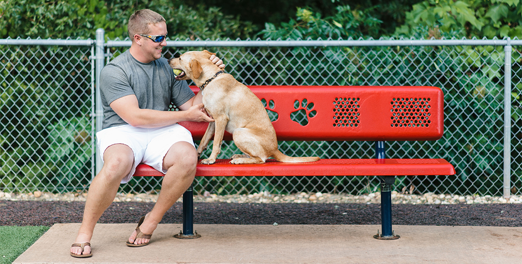 Beneficiile locurilor de joacă pentru câini în comunități